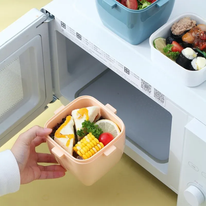 Portable 800ml Kids Bento Lunch Box with Handle
