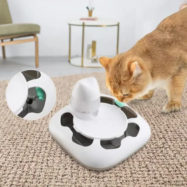 Automatic Interactive IQ Puzzle Feeder Toy