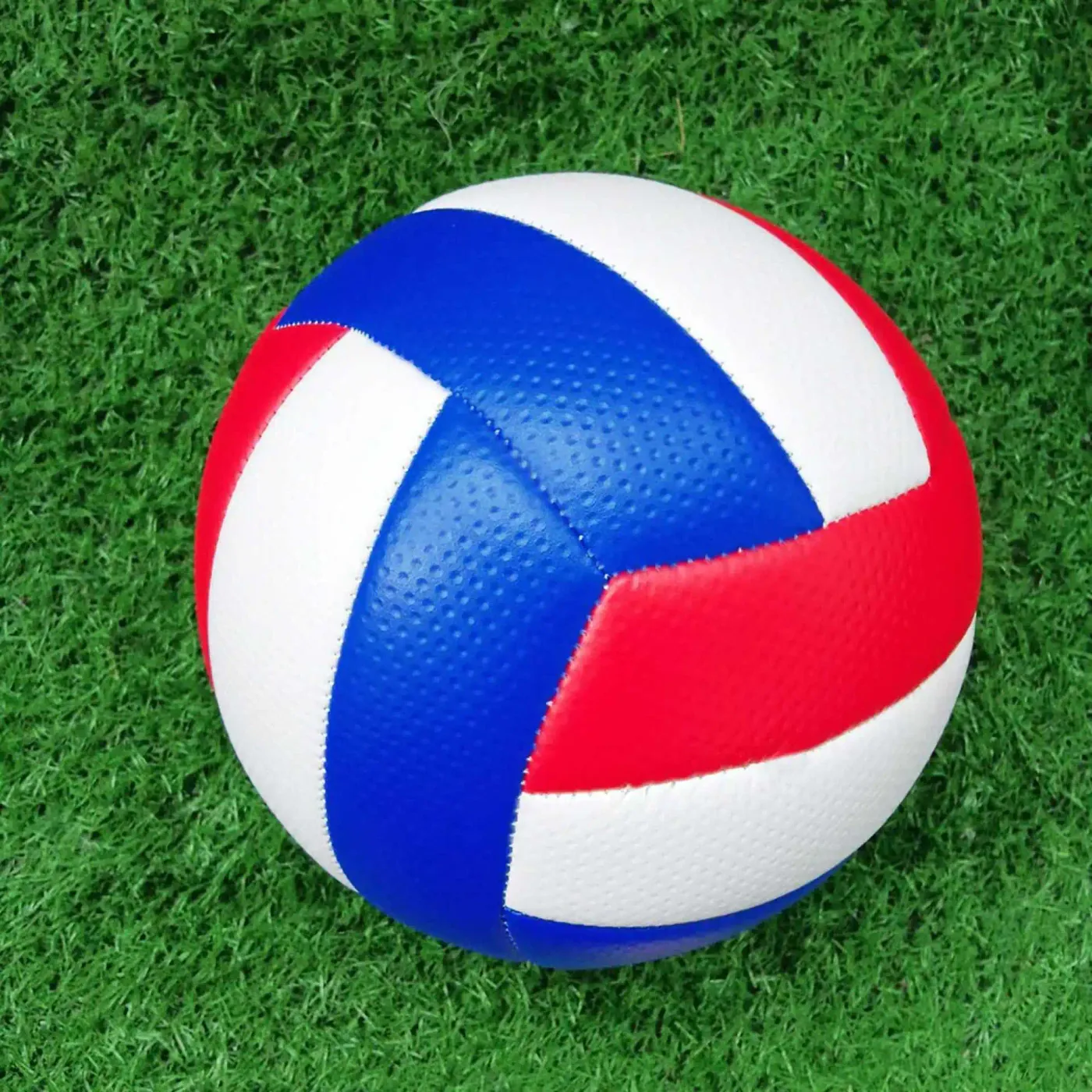 Professional Indoor Match Volleyball
