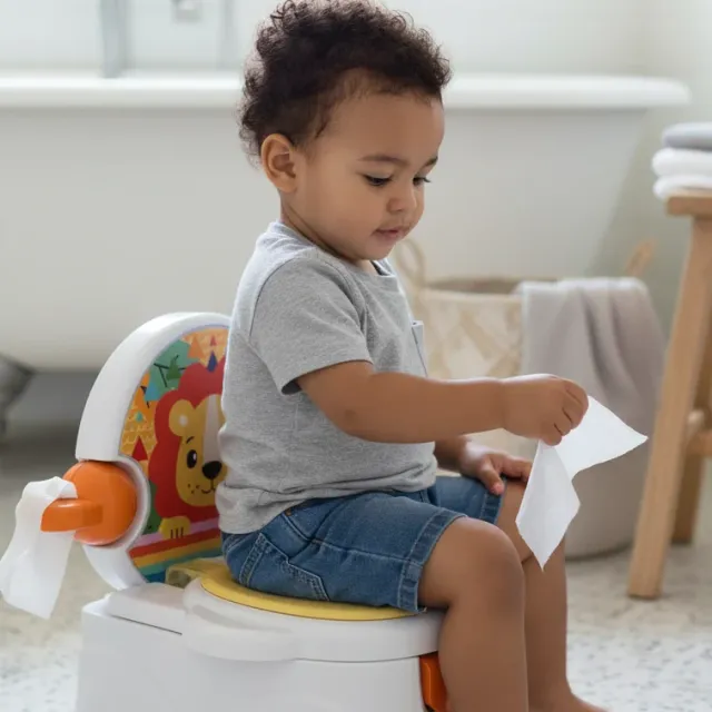 Multifunction Portable Potty Training Toilet