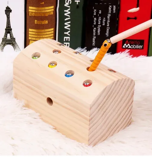Magnetic Wooden Catching Insects Fishing Toy
